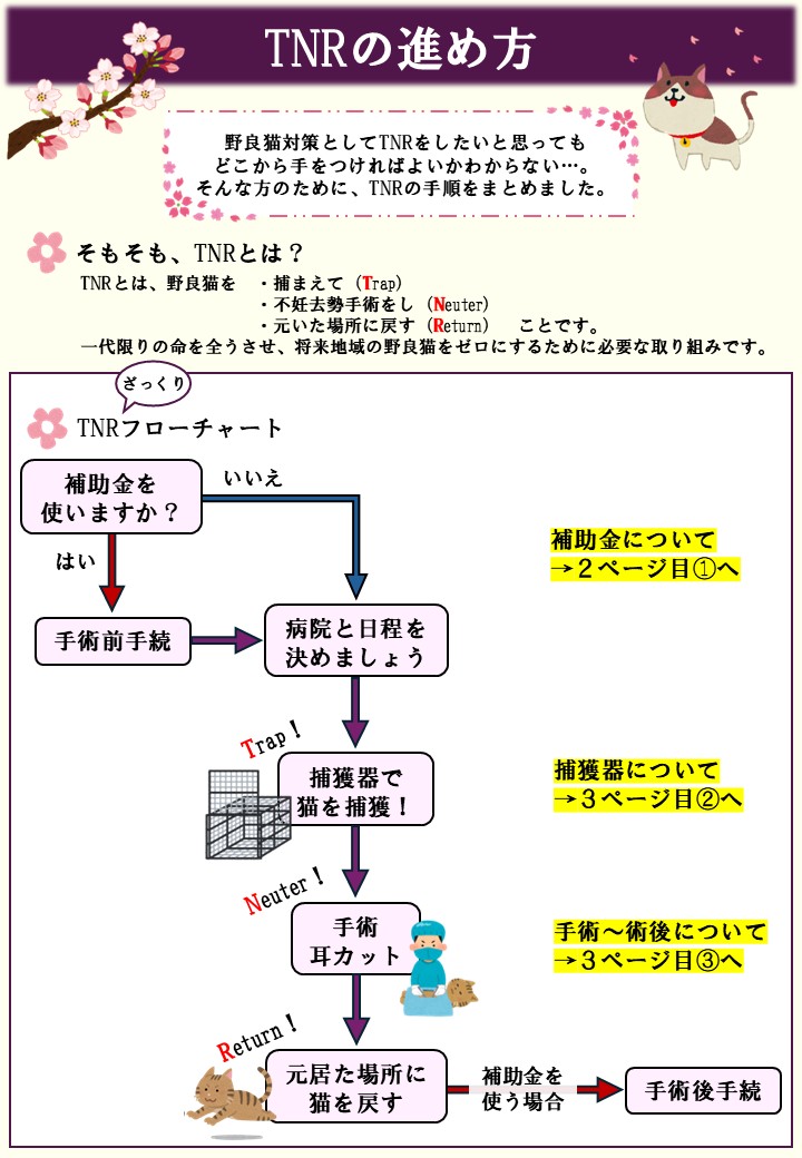 TNRの進め方