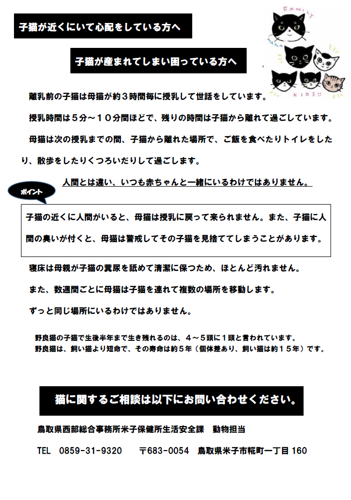 子猫に困っている方へ