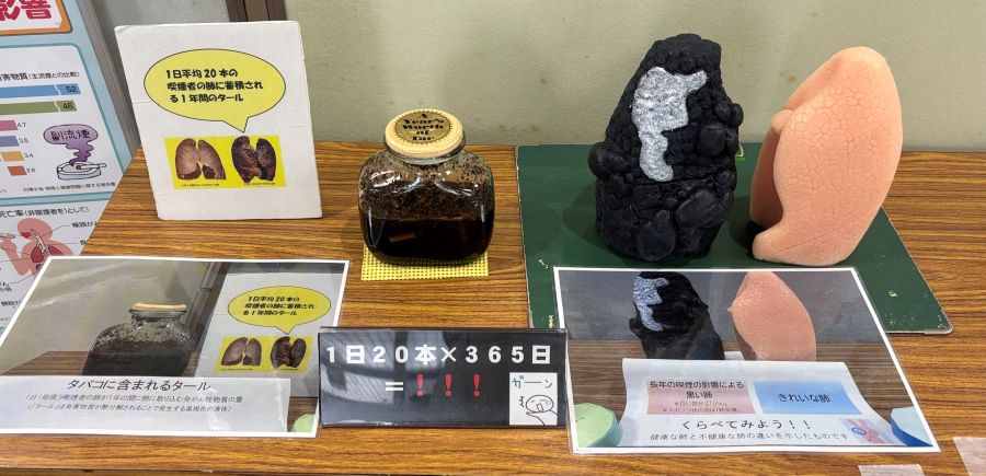 世界禁煙デー展示の写真
