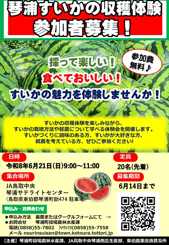 ちらし