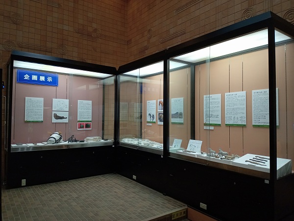 企画展示の様子
