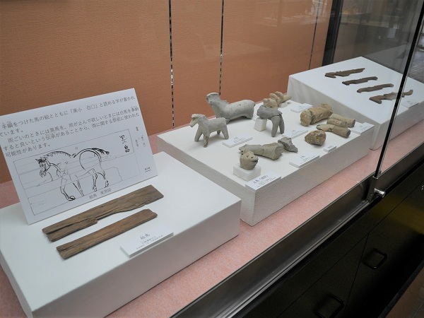 企画展示の一部