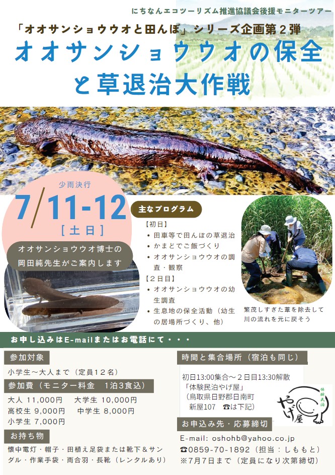 オオサンショウウオ調査&草取り大作戦チラシ