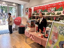 トッププロモーション1