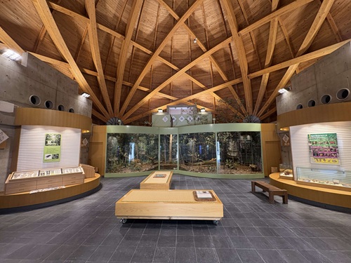 展示館_内観