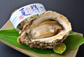 味覚のお宿 山田屋の写真