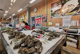 かねまさ・浜下商店 本店の写真