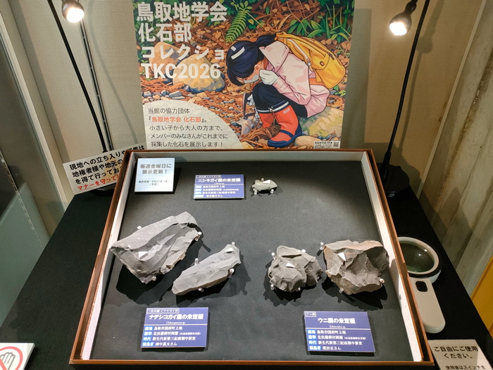展示風景