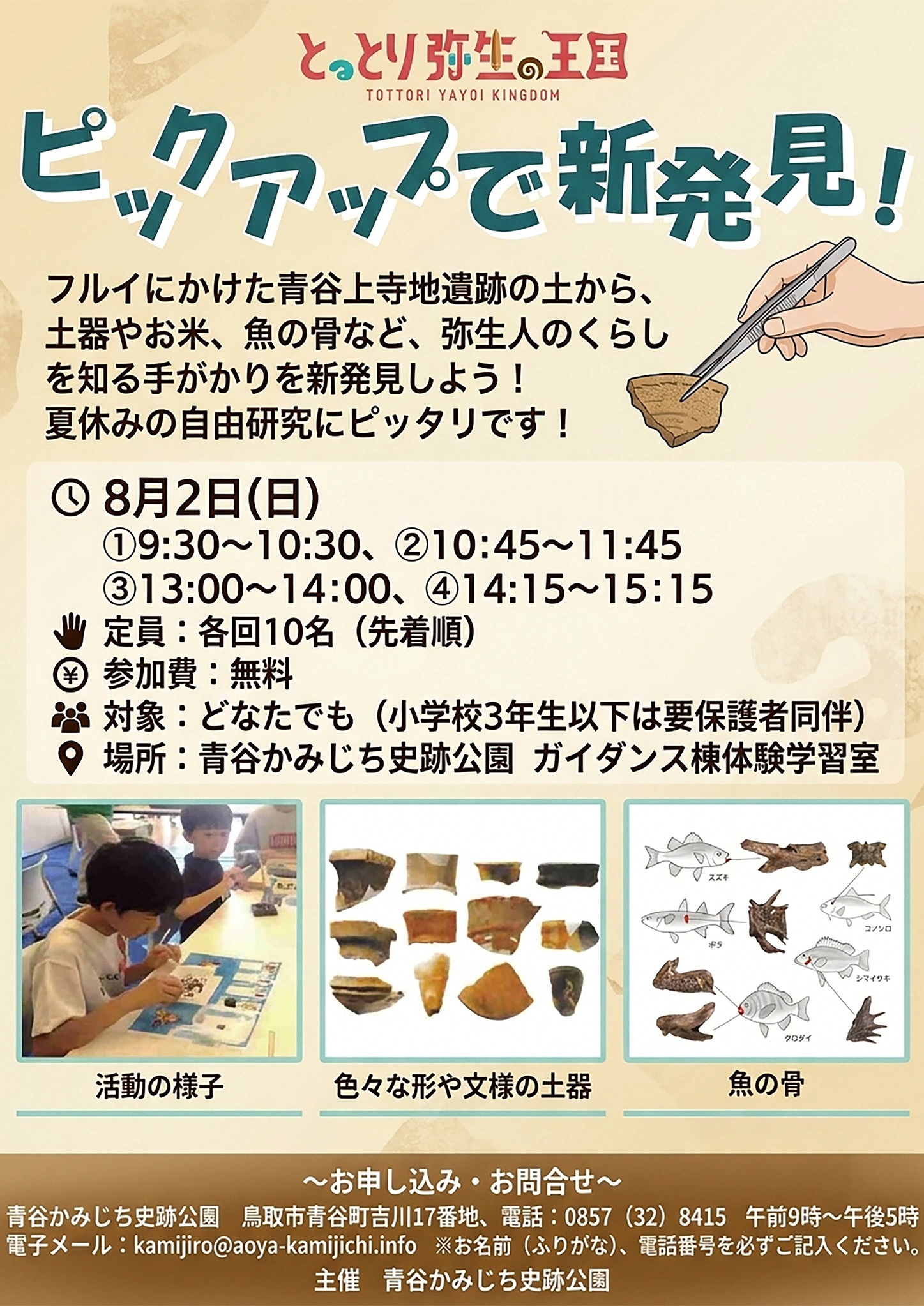 ピックアップチラシ