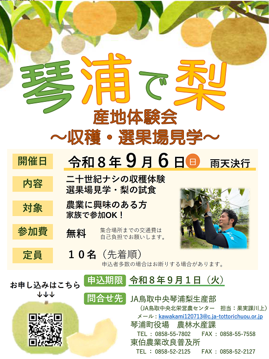 琴浦梨チラシ