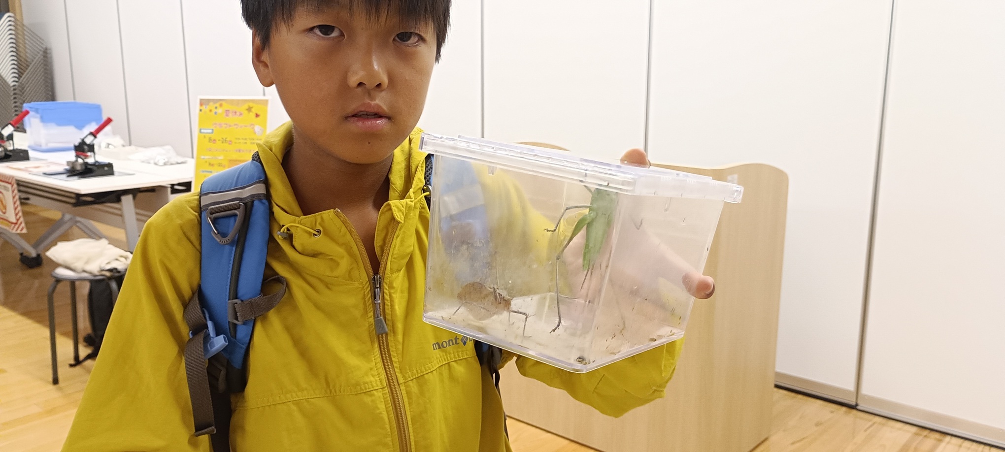 クツワムシ