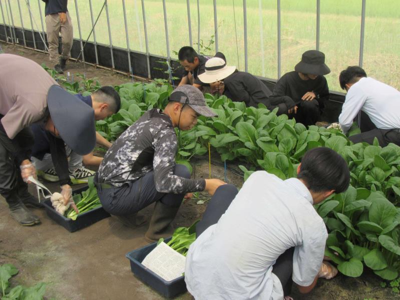 野菜コース