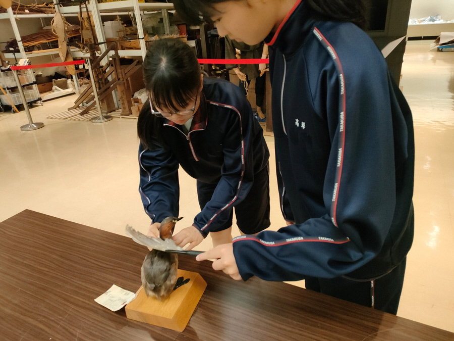 ショップ