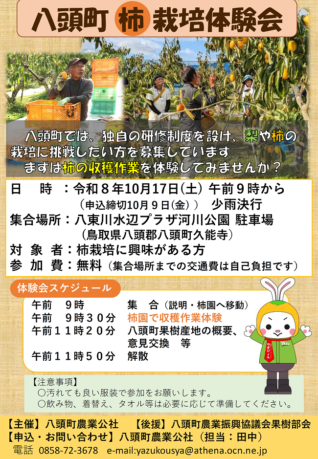 八頭柿チラシ