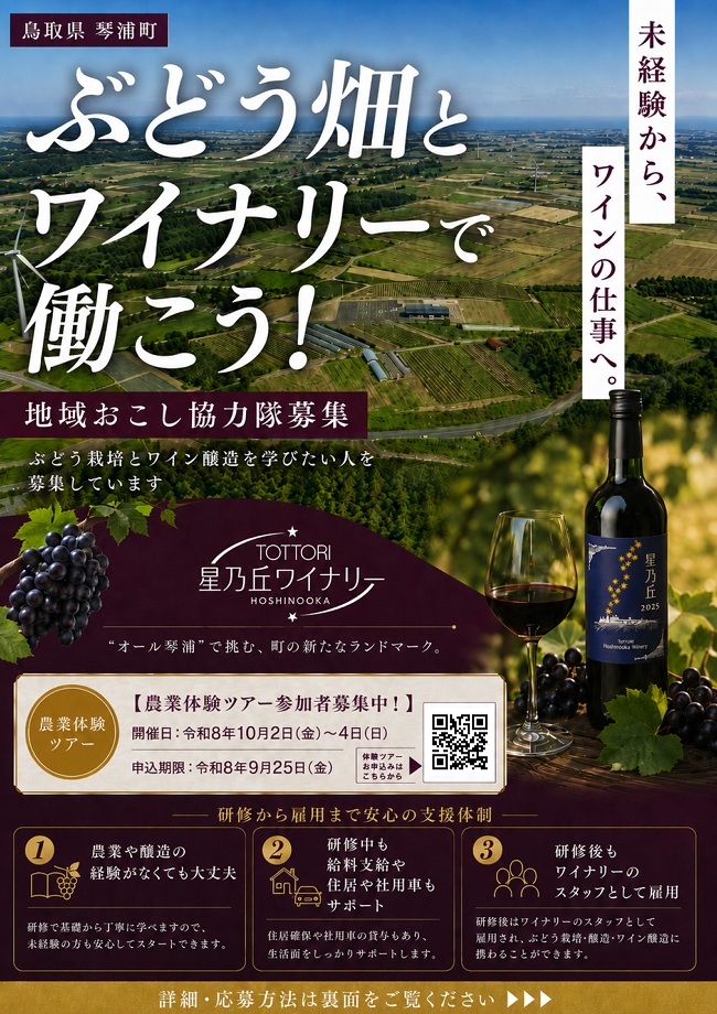 チラシ表