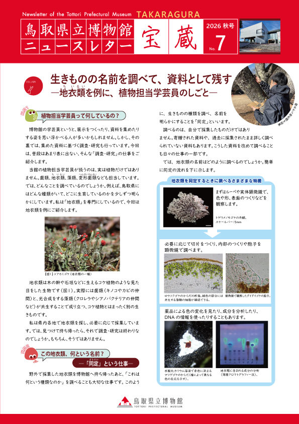 表面