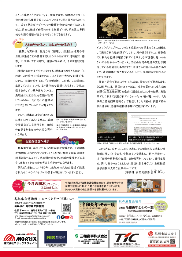 裏面