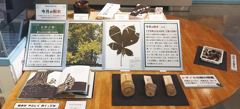 展示風景