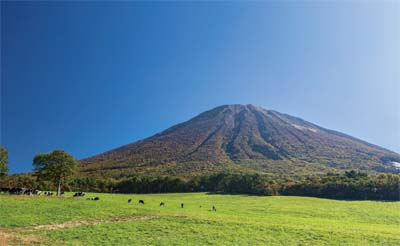 大山の写真1