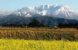 大山の写真3