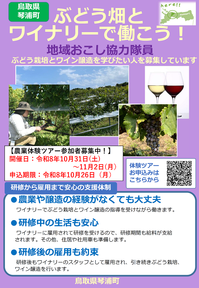 琴浦ワインのチラシ
