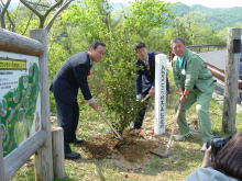 共生の森（記念植樹）