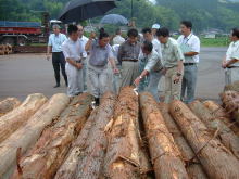 視察