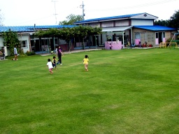琴浦町内保育園の芝生