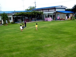 琴浦町内保育園の芝生