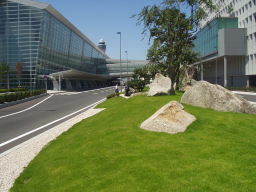 中部国際空港の芝