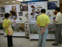 鑑賞
