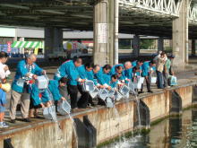 水産まつり