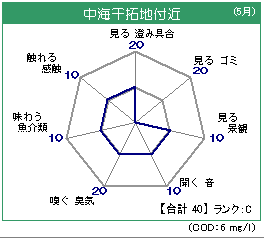 中海干拓地 5月