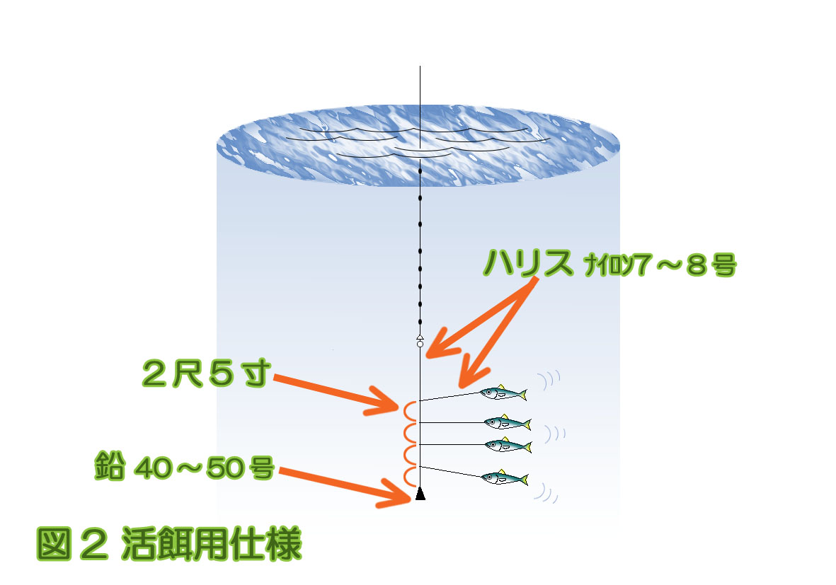 活餌用仕掛