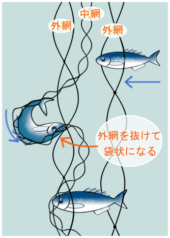 刺網漁業/とりネット/鳥取県公式サイト