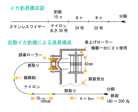 自動イカ釣り機と仕掛け