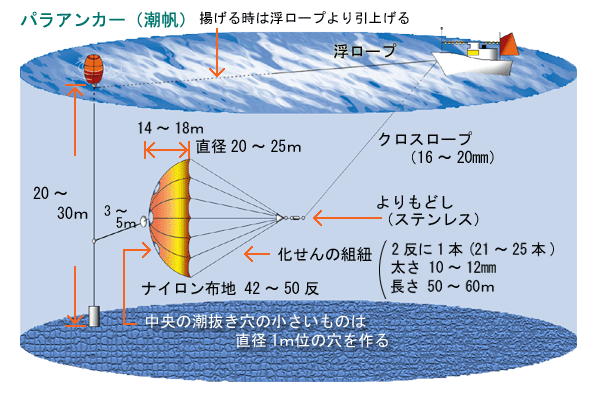 水中の帆となるパラアンカー