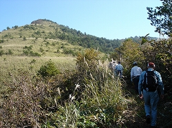 若杉山