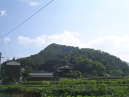 私部城（八頭郡八頭町市場）の写真