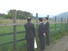 視察