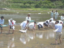 田植式