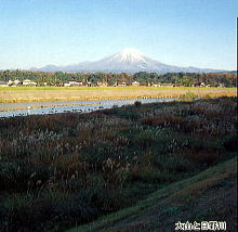 大山と日野川