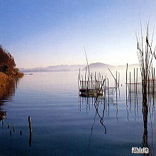 湖山池の写真