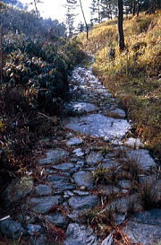 石畳道の写真