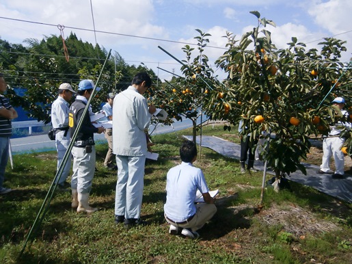 別所視察もよう