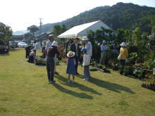 訪問