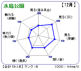 水鳥公園（12月）