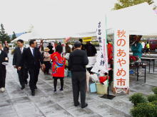視察