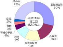 県民の死因割合グラフ