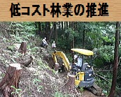 低コスト林業の推進